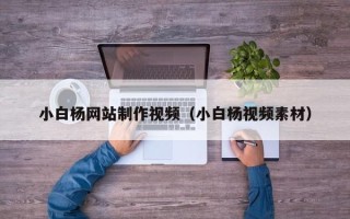 洛阳小白杨网站制作视频（小白杨视频素材）