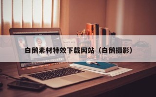 洛阳白鹅素材特效下载网站（白鹅摄影）